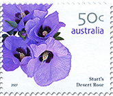 Sturt's Desert Rose stamp