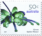 Green Spider Flower stamp