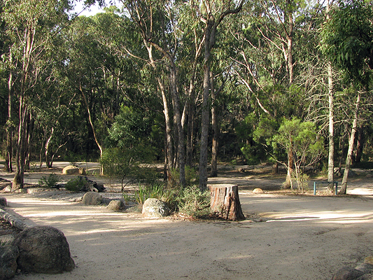 Bald Rock Creek Camping Area