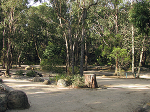 Bald Rock Creek camping area.