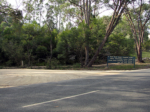 Entry to the Bald Rock Creek camping area.