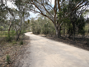 The wide entry to the Castle Rock camping area.