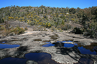 Along the Junction Track