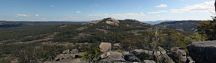 View South from Mt Norman