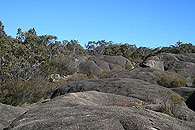 Landscape Behind Underground Creek