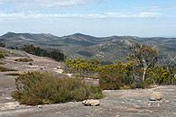 Girraween landscape