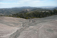 Girraween landscape