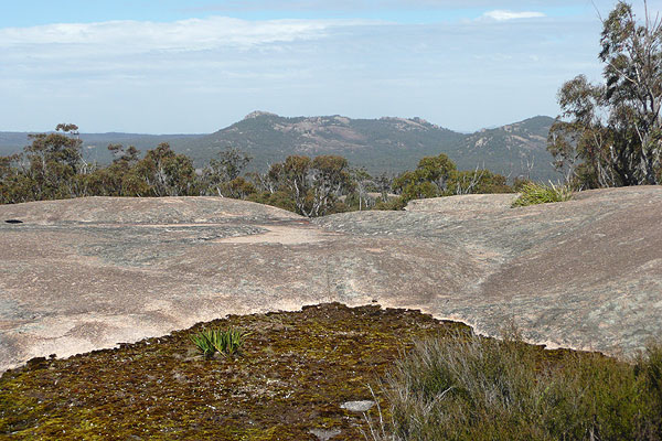 Mt Norman and Mallee Ridge from Slip Rock.