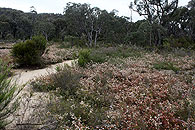 The Junction Track in Spring