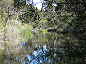 Dr Roberts' Waterhole.