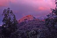 Purple and Pink Pyramid