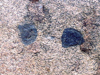 Xenoliths in granite.