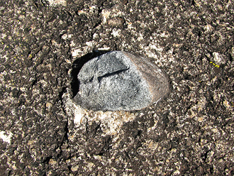 A raised xenolith.