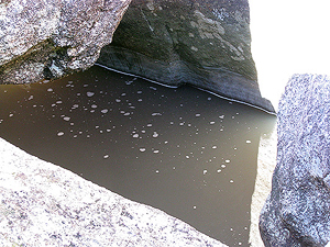 A glimpse of the water flowing beneath the rocks.