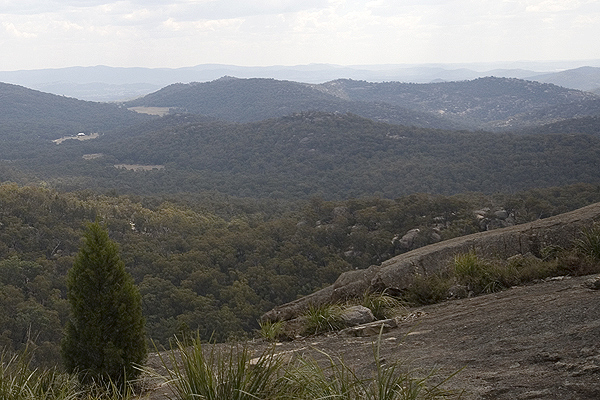The landscape of Girraween, viewed from Castle Rock.