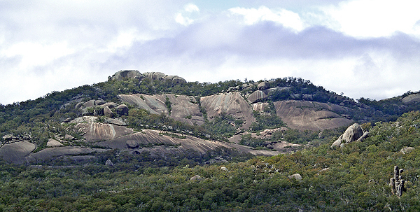 The western slopes of Mt Norman.