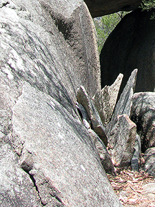 Exfoliation on a boulder at Granite Arch.
