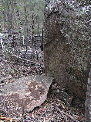 This example can be found along the Castle Rock track.
