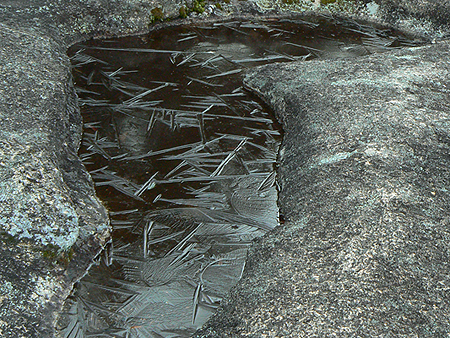 Ice crystals on water.