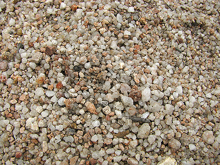 The top layer of soil is mostly a coarse, quartz sand.