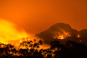 Fire at the base of the Pyramids, 2014.