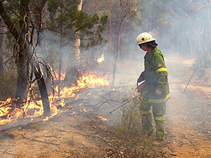 Helping with fire management.