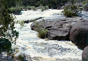 Bald Rock Creek in flood.