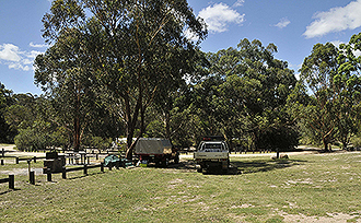 February 2016. The Castle Rock camping area with well established vegetation.