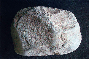 The stone axe head.