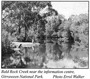 Bald Rock Creek.