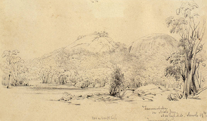 Conrad Martens' drawing:  Terrawambella on Nicol's run, New England, March 19th 1852.