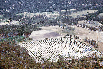 View of farms from The Pyramid, 1953.