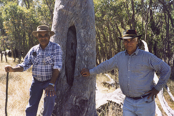 Kambuwal descendants with scar tree.