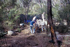 Constructing the Dr Roberts' Waterhole track and lookout.