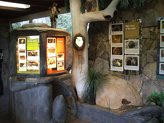 The three dimensional displays in today's Girraween Information Centre.