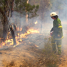 A small, controlled burn.