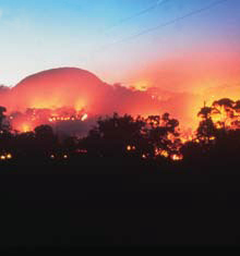 The 1980 bush fire.