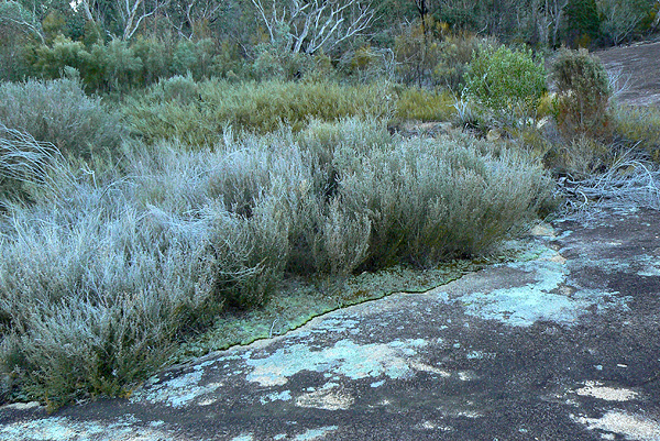 Blue-white frost on the granite.