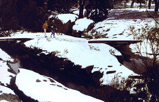 Snow covering the concrete bridges over Bald Rock Creek, 1984.