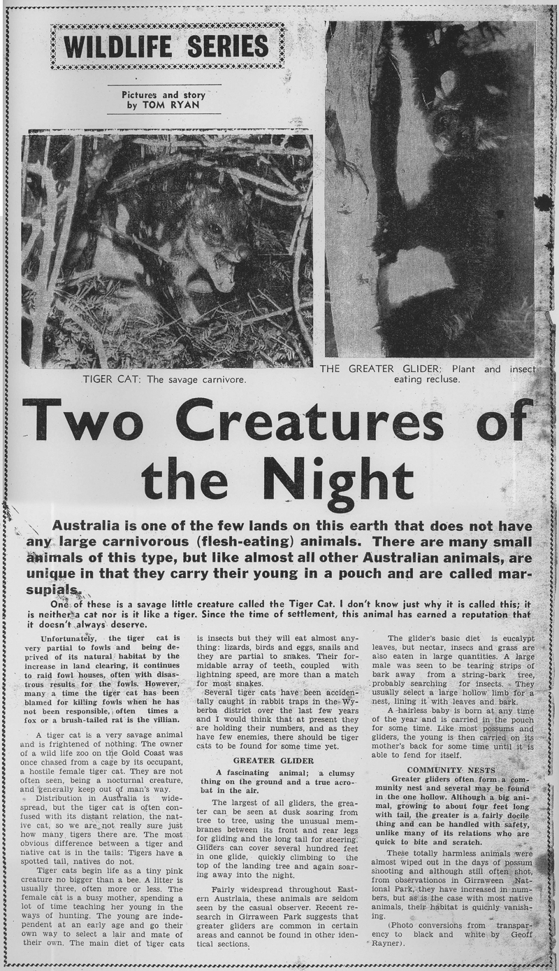 Two Creatures of the Night article