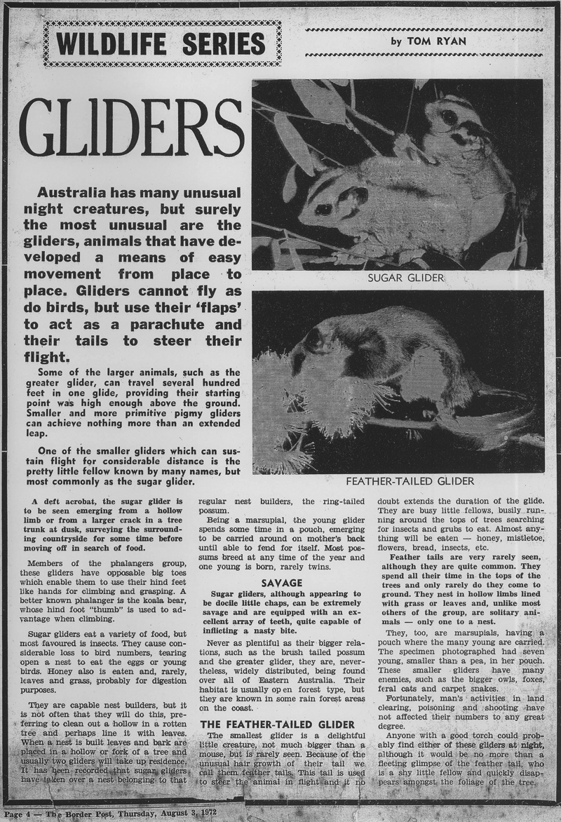 Gliders article