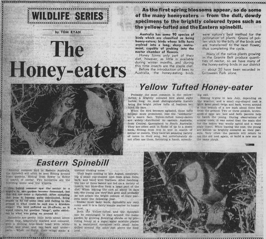 The Honey-eaters article