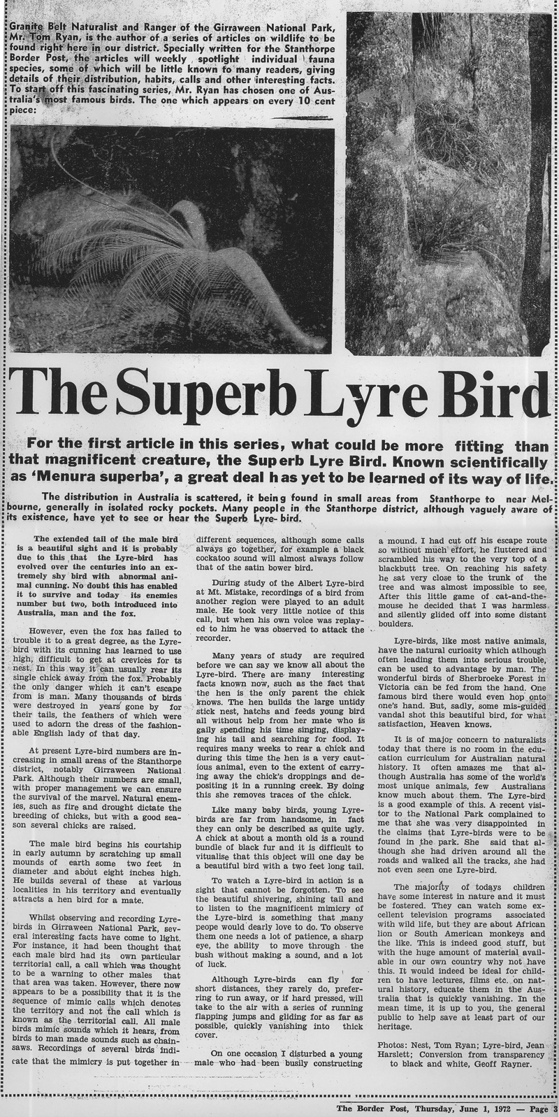 Lyre Bird article