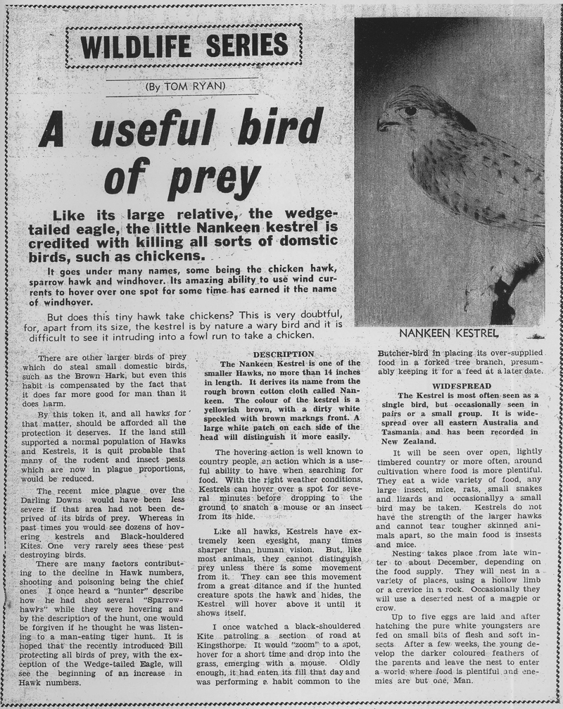 A Useful Bird of Prey article