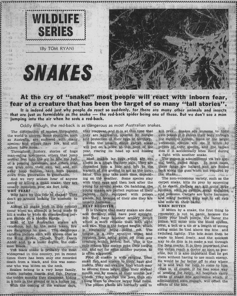 Snakes article