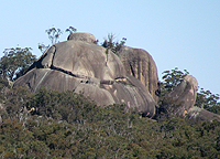 Turtle Rock