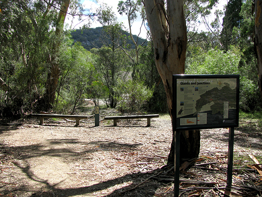 Start of the track to Bald Rock Creek