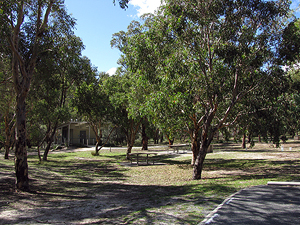 It's a large picnic area with lots of shady trees.