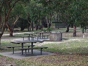 Lots of picnic tables and barbecues.