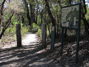 The start of the walking track to Mt Norman is just across the road.